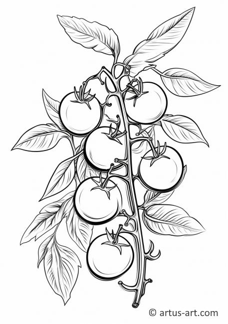 Cherry Tomatoes Coloring Page